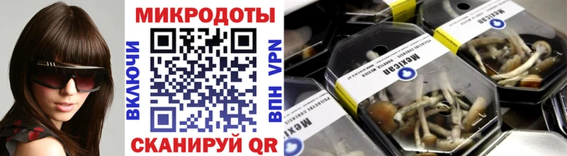 Галлюциногенные грибы MAGIC MUSHROOMS  Судогда 